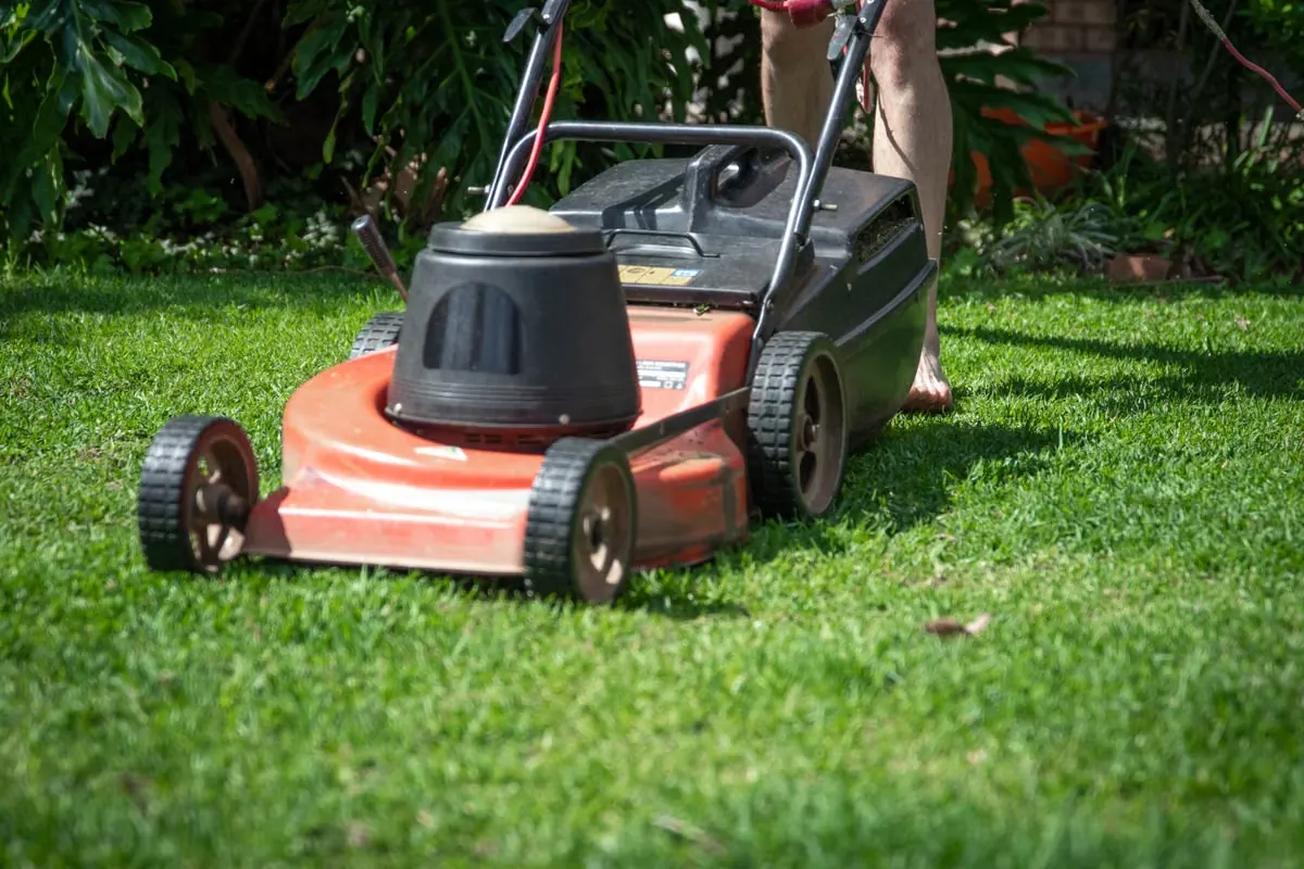 A person maintaining a lawn with a mower